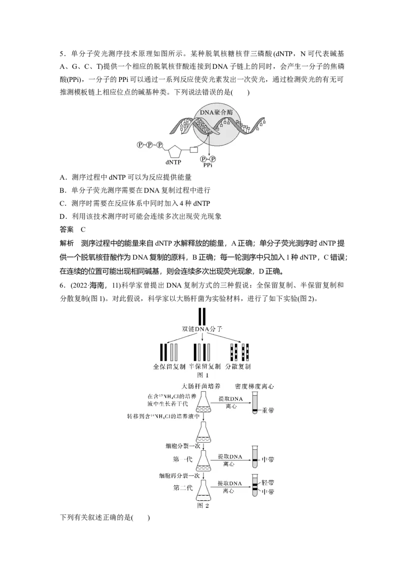 第六单元　第30课时　DNA的结构与复制_2025年新高考资料_一轮复习_2025大一轮复习讲义+课件（完结）_2025大一轮复习讲义生物教师用书Word版文档整书_配套Word版文档第三~六单元