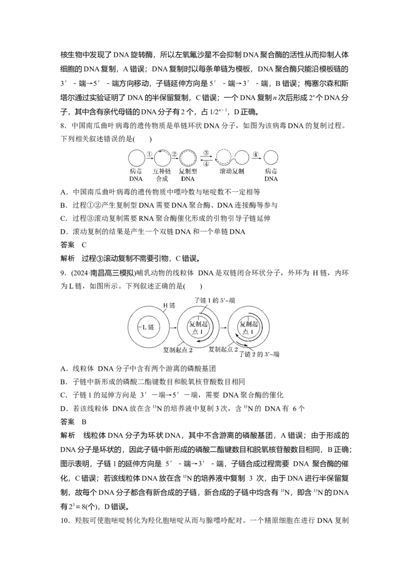 第六单元　第30课时　DNA的结构与复制_2025年新高考资料_一轮复习_2025大一轮复习讲义+课件（完结）_2025大一轮复习讲义生物教师用书Word版文档整书_配套Word版文档第三~六单元