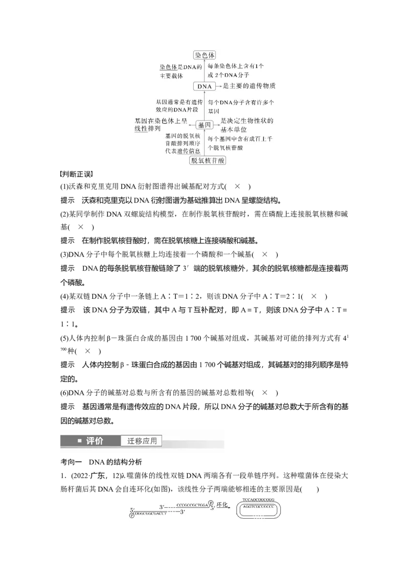 第六单元　第30课时　DNA的结构与复制_2025年新高考资料_一轮复习_2025大一轮复习讲义+课件（完结）_2025大一轮复习讲义生物教师用书Word版文档整书_配套Word版文档第三~六单元