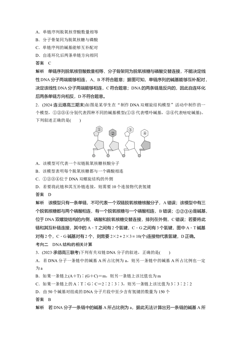 第六单元　第30课时　DNA的结构与复制_2025年新高考资料_一轮复习_2025大一轮复习讲义+课件（完结）_2025大一轮复习讲义生物教师用书Word版文档整书_配套Word版文档第三~六单元