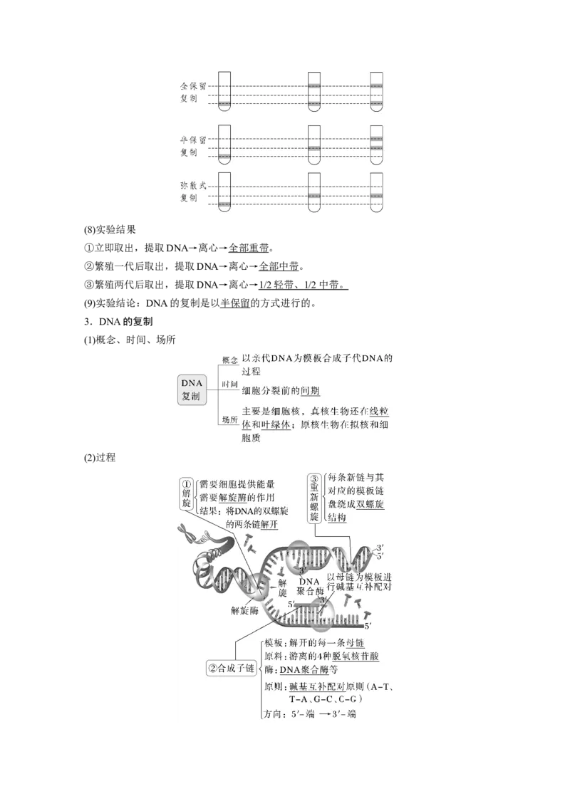 第六单元　第30课时　DNA的结构与复制_2025年新高考资料_一轮复习_2025大一轮复习讲义+课件（完结）_2025大一轮复习讲义生物教师用书Word版文档整书_配套Word版文档第三~六单元