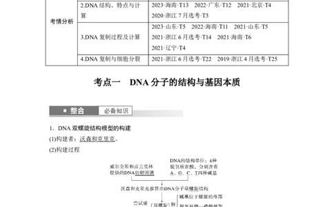 第六单元　第30课时　DNA的结构与复制_2025年新高考资料_一轮复习_2025大一轮复习讲义+课件（完结）_2025大一轮复习讲义生物教师用书Word版文档整书_配套Word版文档第三~六单元