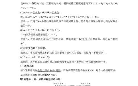 第六单元　第30课时　DNA的结构与复制_2025年新高考资料_一轮复习_2025大一轮复习讲义+课件（完结）_2025大一轮复习讲义生物教师用书Word版文档整书_配套Word版文档第三~六单元