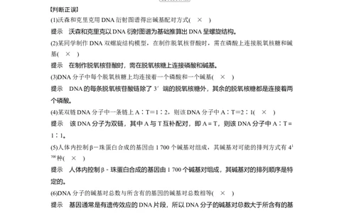 第六单元　第30课时　DNA的结构与复制_2025年新高考资料_一轮复习_2025大一轮复习讲义+课件（完结）_2025大一轮复习讲义生物教师用书Word版文档整书_配套Word版文档第三~六单元