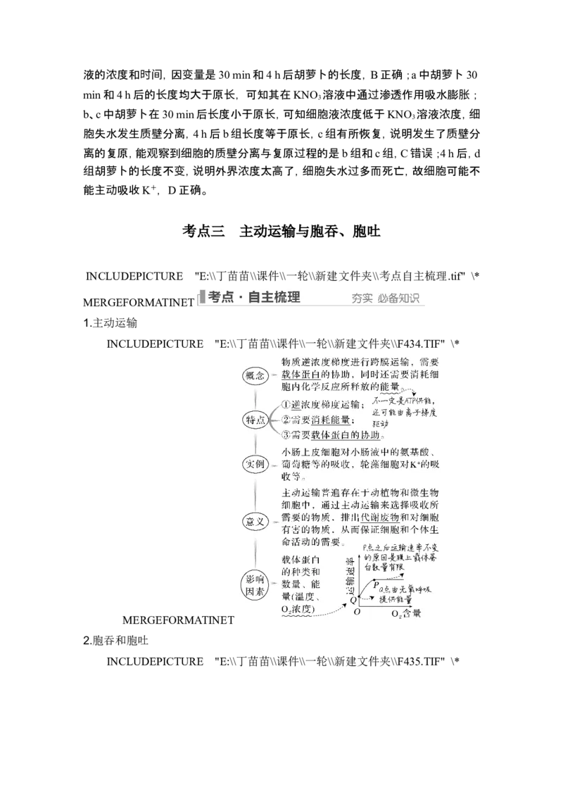 第6讲细胞内物质输入和输出_新高考复习资料_2024年新高考复习资料_一轮复习资料_完2024生物步步高大一轮复习（课件+讲义）_2024年高考生物一轮复习讲义（新人教版）_必修1