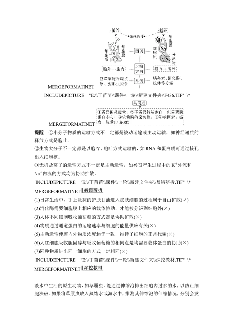第6讲细胞内物质输入和输出_新高考复习资料_2024年新高考复习资料_一轮复习资料_完2024生物步步高大一轮复习（课件+讲义）_2024年高考生物一轮复习讲义（新人教版）_必修1