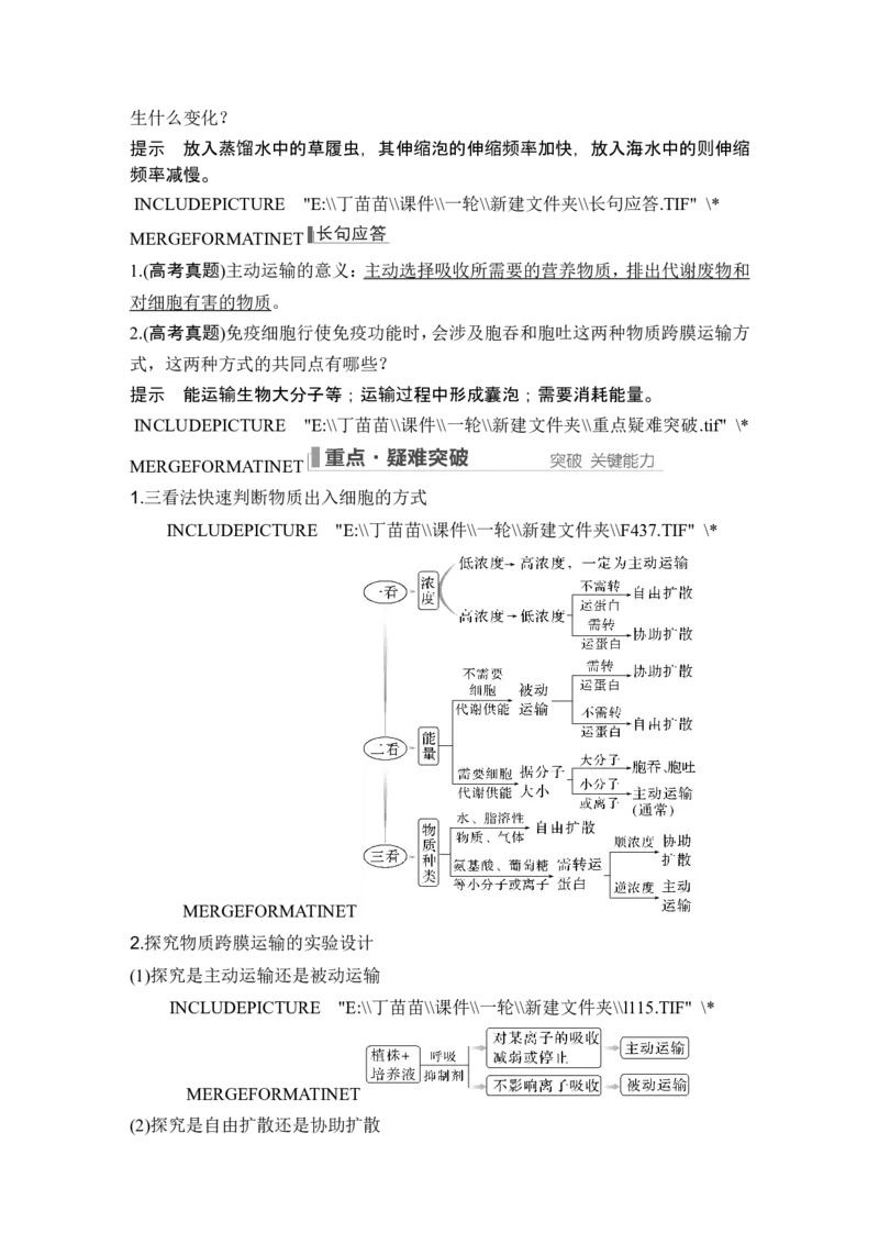 第6讲细胞内物质输入和输出_新高考复习资料_2024年新高考复习资料_一轮复习资料_完2024生物步步高大一轮复习（课件+讲义）_2024年高考生物一轮复习讲义（新人教版）_必修1