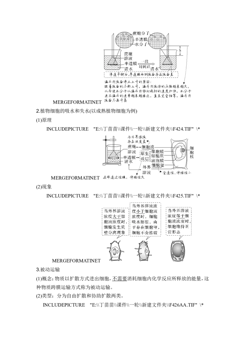 第6讲细胞内物质输入和输出_新高考复习资料_2024年新高考复习资料_一轮复习资料_完2024生物步步高大一轮复习（课件+讲义）_2024年高考生物一轮复习讲义（新人教版）_必修1