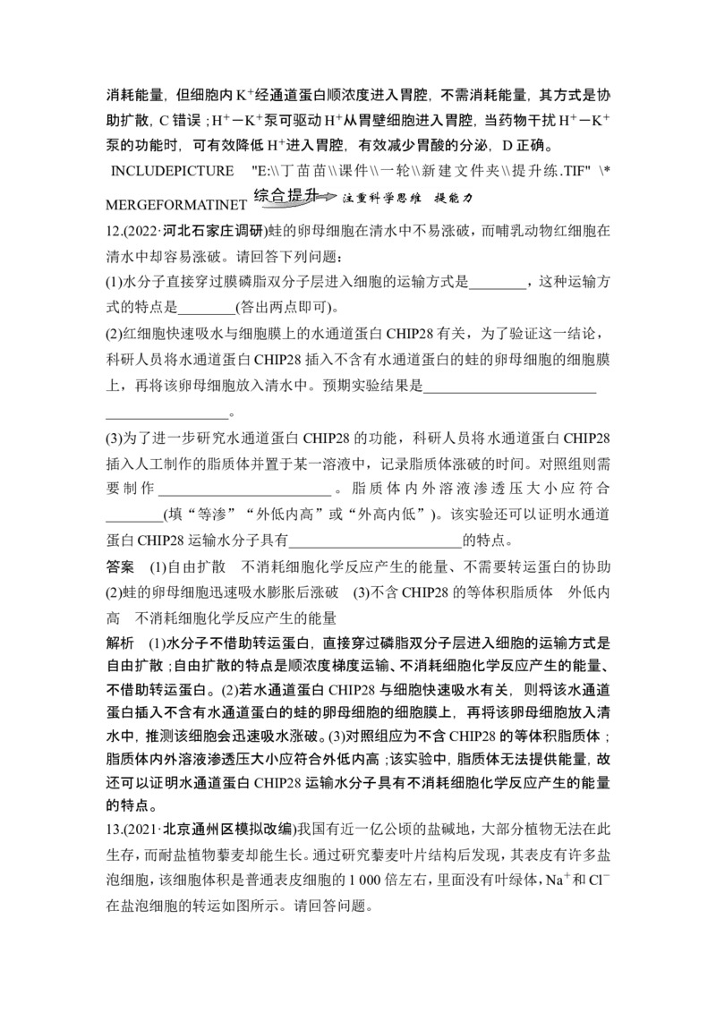 第6讲细胞内物质输入和输出_新高考复习资料_2024年新高考复习资料_一轮复习资料_完2024生物步步高大一轮复习（课件+讲义）_2024年高考生物一轮复习讲义（新人教版）_必修1