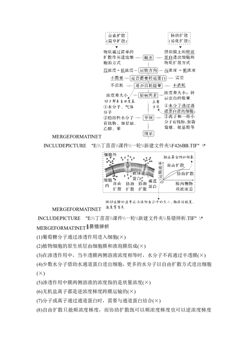 第6讲细胞内物质输入和输出_新高考复习资料_2024年新高考复习资料_一轮复习资料_完2024生物步步高大一轮复习（课件+讲义）_2024年高考生物一轮复习讲义（新人教版）_必修1