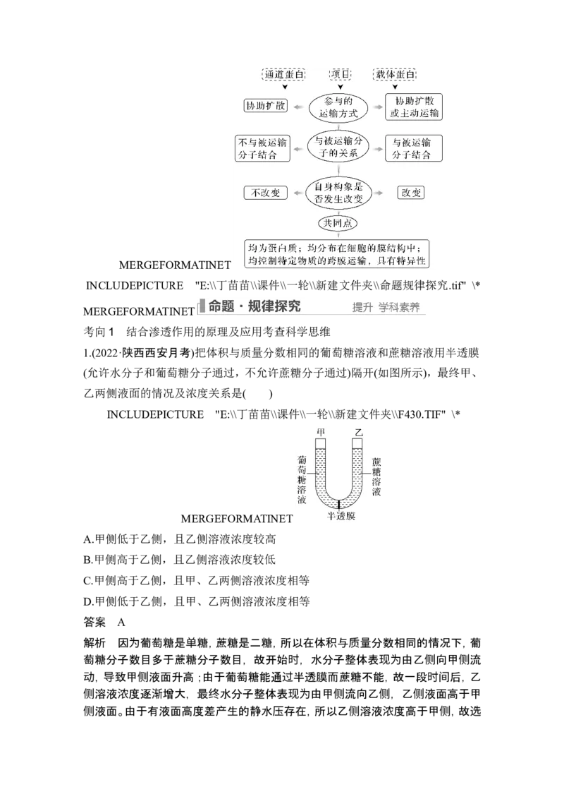 第6讲细胞内物质输入和输出_新高考复习资料_2024年新高考复习资料_一轮复习资料_完2024生物步步高大一轮复习（课件+讲义）_2024年高考生物一轮复习讲义（新人教版）_必修1