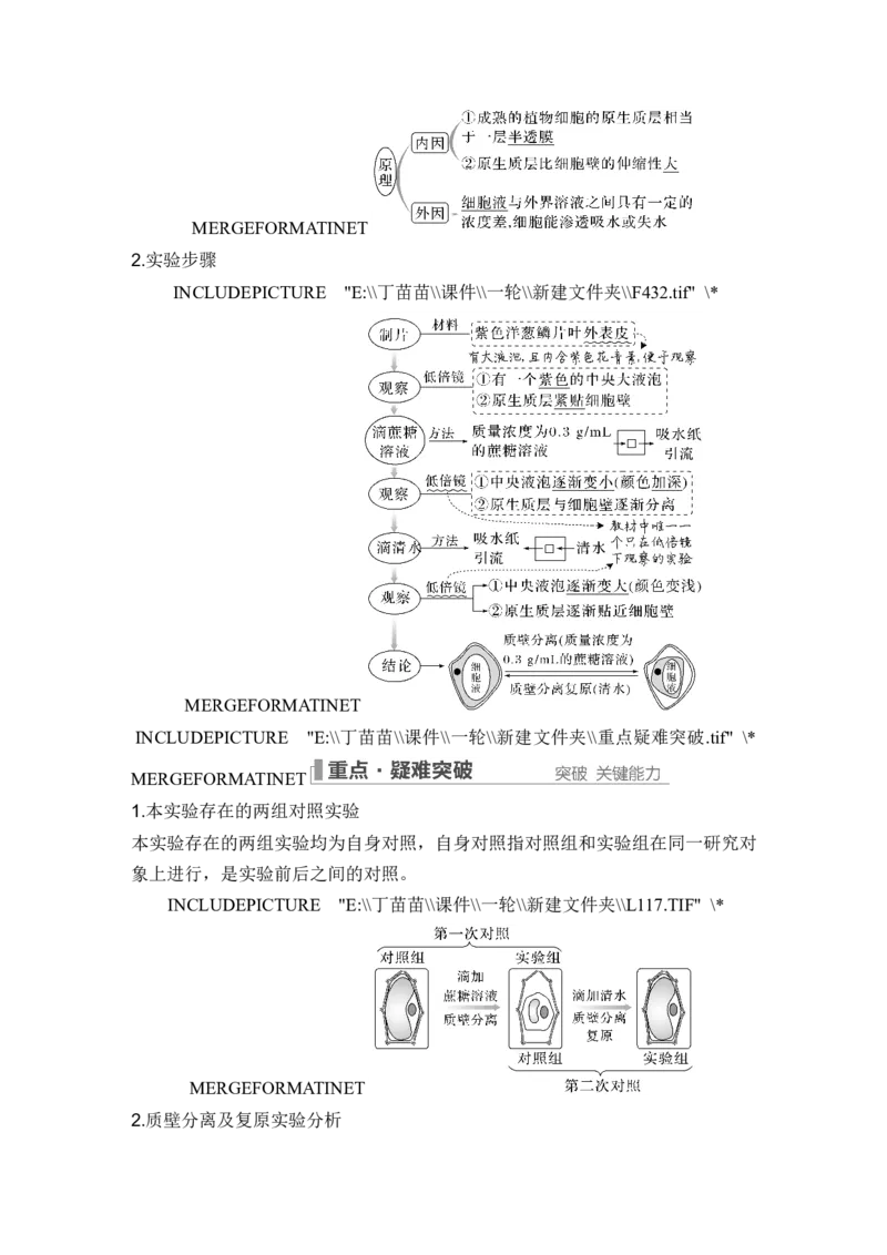 第6讲细胞内物质输入和输出_新高考复习资料_2024年新高考复习资料_一轮复习资料_完2024生物步步高大一轮复习（课件+讲义）_2024年高考生物一轮复习讲义（新人教版）_必修1