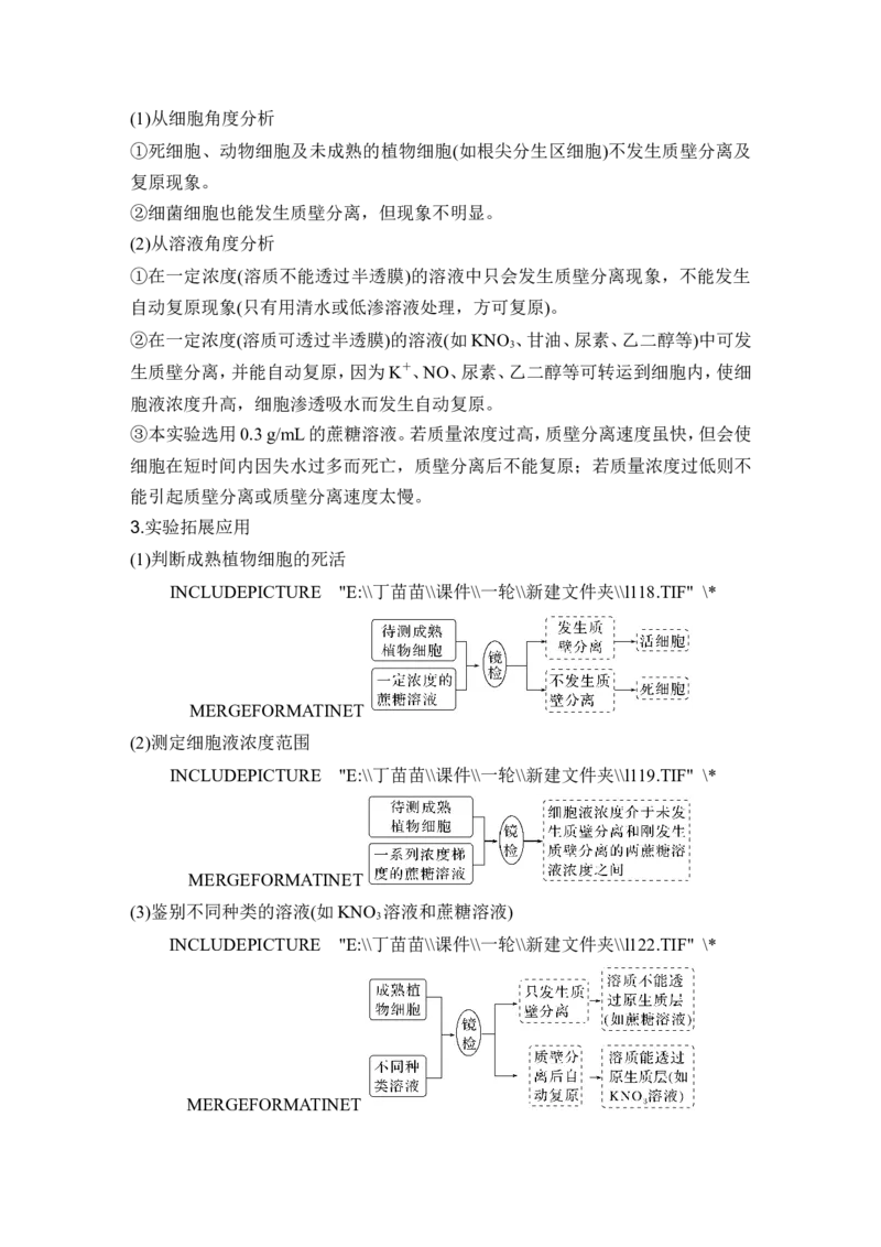 第6讲细胞内物质输入和输出_新高考复习资料_2024年新高考复习资料_一轮复习资料_完2024生物步步高大一轮复习（课件+讲义）_2024年高考生物一轮复习讲义（新人教版）_必修1