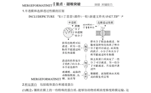 第6讲细胞内物质输入和输出_新高考复习资料_2024年新高考复习资料_一轮复习资料_完2024生物步步高大一轮复习（课件+讲义）_2024年高考生物一轮复习讲义（新人教版）_必修1