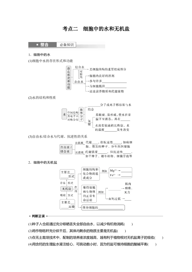 第一单元　第2课时　组成细胞的元素和化合物_2025年新高考资料_一轮复习_2025大一轮复习讲义+课件（完结）_2025大一轮复习讲义生物学生用书Word版文档整书_2025大一轮复习讲义