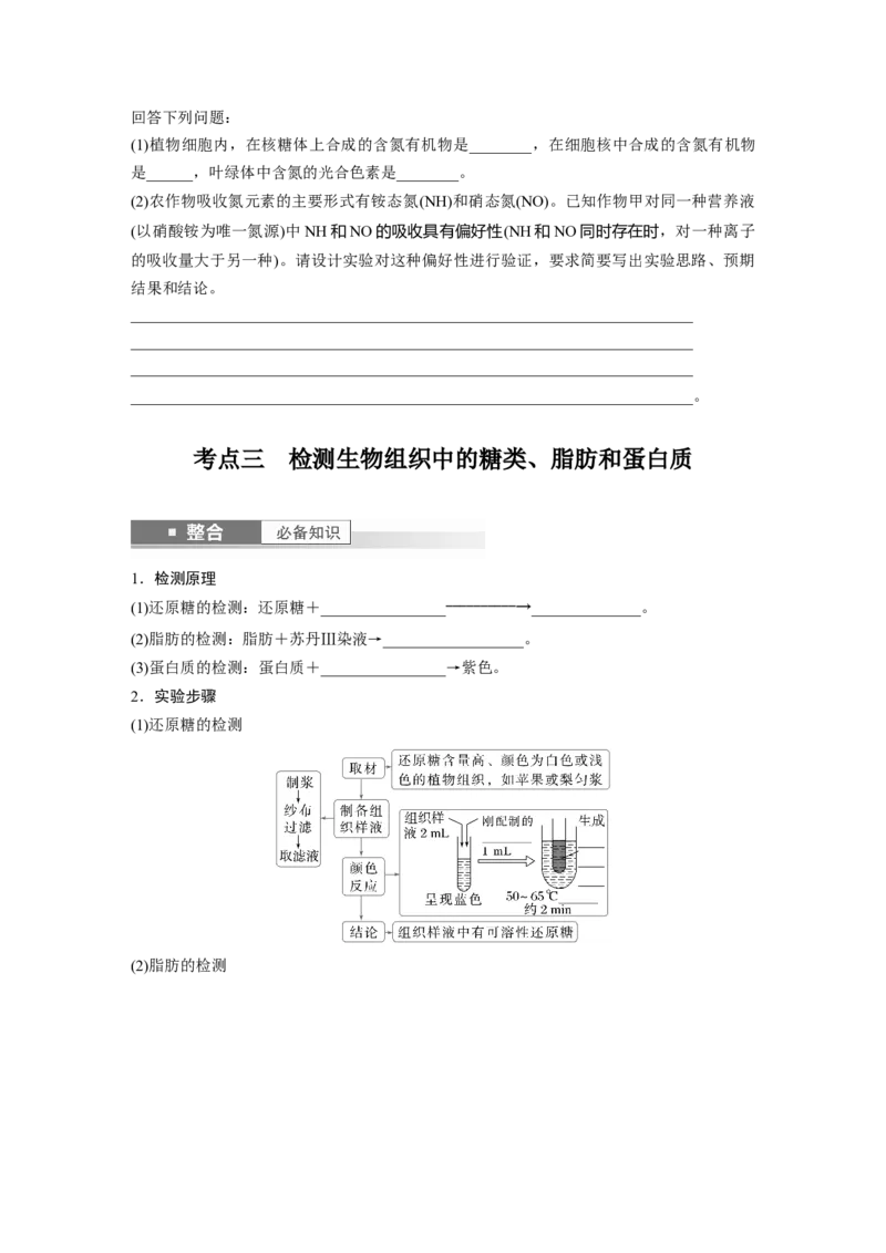第一单元　第2课时　组成细胞的元素和化合物_2025年新高考资料_一轮复习_2025大一轮复习讲义+课件（完结）_2025大一轮复习讲义生物学生用书Word版文档整书_2025大一轮复习讲义