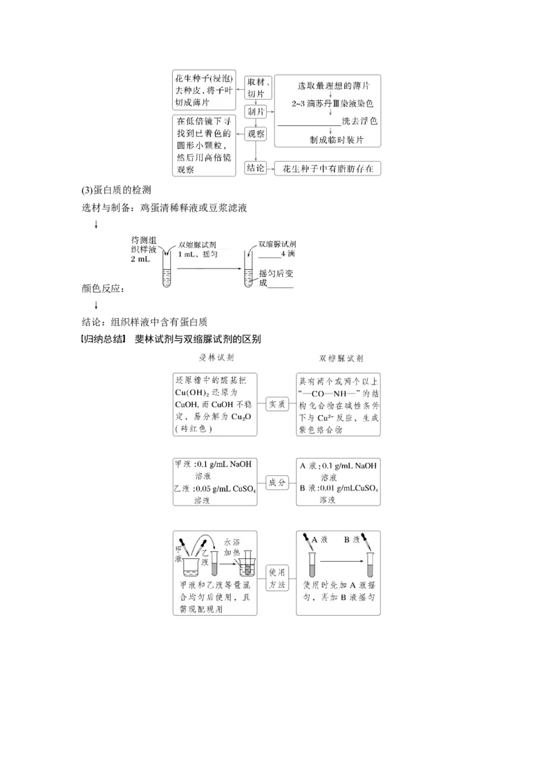 第一单元　第2课时　组成细胞的元素和化合物_2025年新高考资料_一轮复习_2025大一轮复习讲义+课件（完结）_2025大一轮复习讲义生物学生用书Word版文档整书_2025大一轮复习讲义