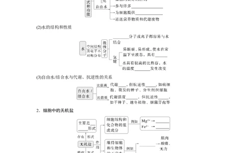 第一单元　第2课时　组成细胞的元素和化合物_2025年新高考资料_一轮复习_2025大一轮复习讲义+课件（完结）_2025大一轮复习讲义生物学生用书Word版文档整书_2025大一轮复习讲义
