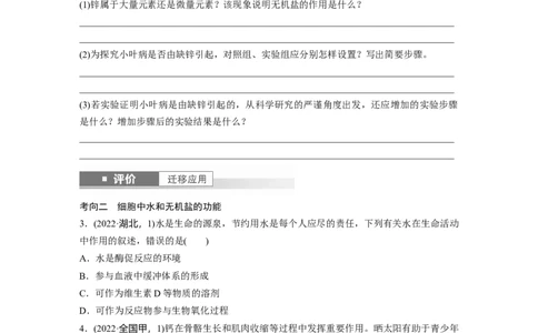 第一单元　第2课时　组成细胞的元素和化合物_2025年新高考资料_一轮复习_2025大一轮复习讲义+课件（完结）_2025大一轮复习讲义生物学生用书Word版文档整书_2025大一轮复习讲义