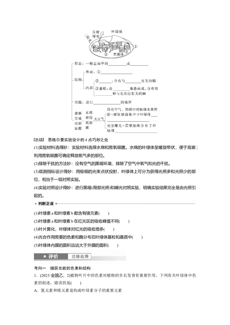 第三单元　第15课时　捕获光能的色素和结构及光合作用原理的探索_2025年新高考资料_一轮复习_2025大一轮复习讲义+课件（完结）_2025大一轮复习讲义生物学生用书Word版文档整书
