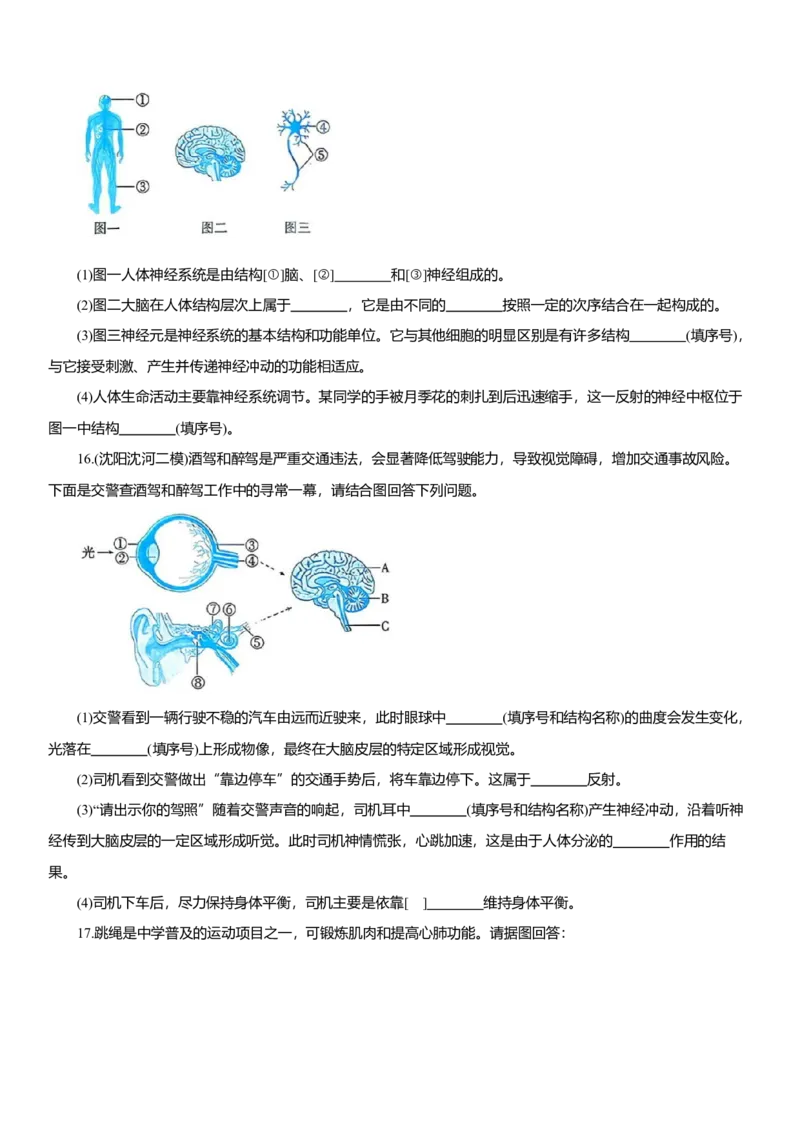 2026年中考生物复习专题练习：专题十九神经系统和运动系统（含答案）_6生物中考复习_2026年中考复习（更新中）_2026年中考生物一轮复习专题练习（含答案）