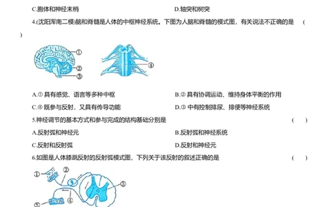 2026年中考生物复习专题练习：专题十九神经系统和运动系统（含答案）_6生物中考复习_2026年中考复习（更新中）_2026年中考生物一轮复习专题练习（含答案）
