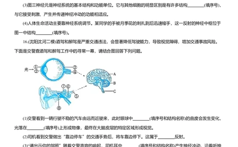 2026年中考生物复习专题练习：专题十九神经系统和运动系统（含答案）_6生物中考复习_2026年中考复习（更新中）_2026年中考生物一轮复习专题练习（含答案）