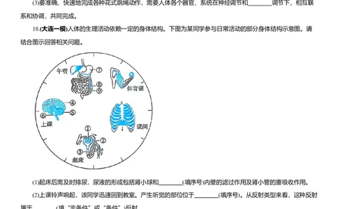 2026年中考生物复习专题练习：专题十九神经系统和运动系统（含答案）_6生物中考复习_2026年中考复习（更新中）_2026年中考生物一轮复习专题练习（含答案）