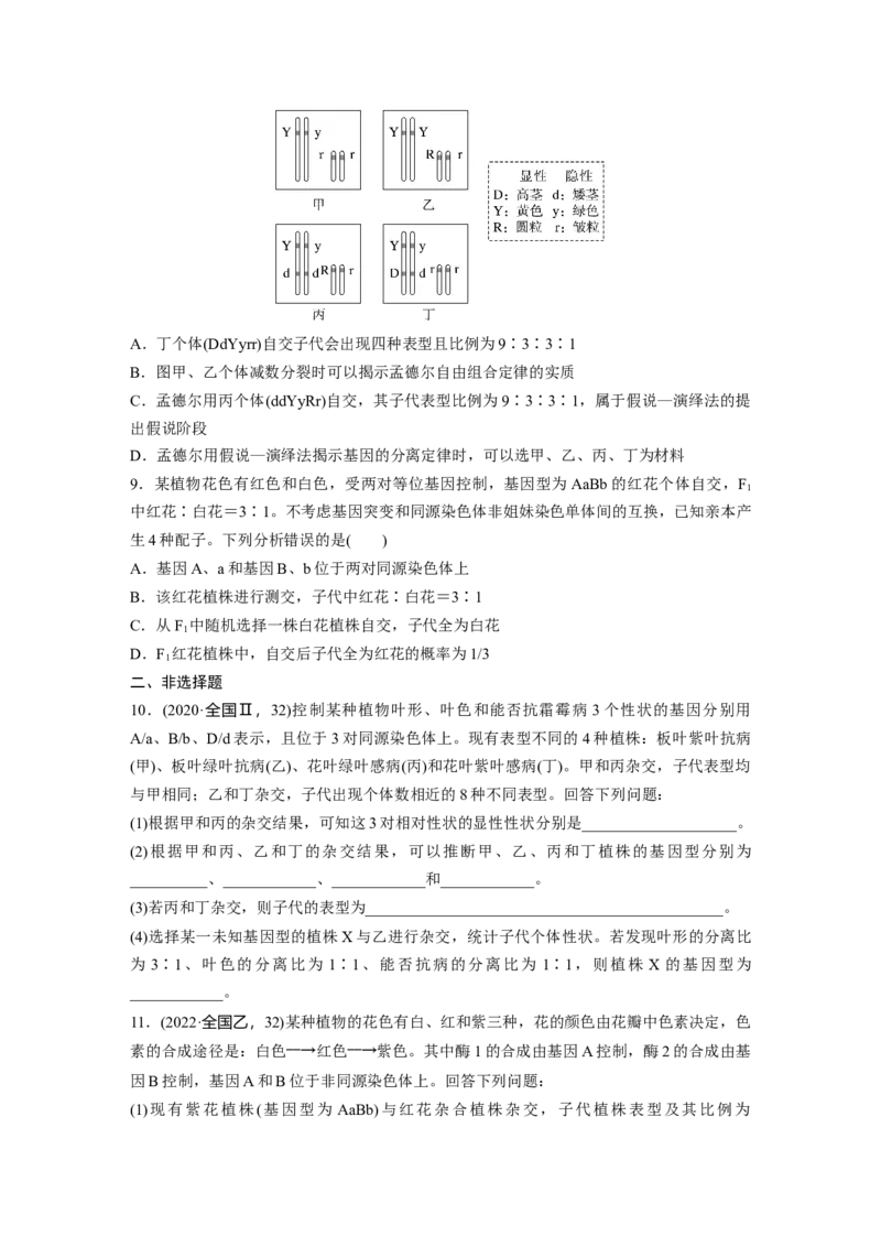第五单元课时练26自由组合定律_2025年新高考资料_一轮复习_2025大一轮复习讲义+课件（完结）_2025大一轮复习讲义生物学生用书Word版文档整书_2025一轮复习73练