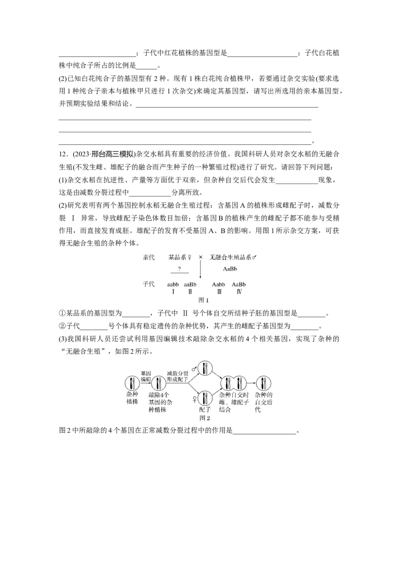 第五单元课时练26自由组合定律_2025年新高考资料_一轮复习_2025大一轮复习讲义+课件（完结）_2025大一轮复习讲义生物学生用书Word版文档整书_2025一轮复习73练
