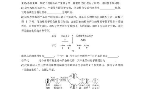 第五单元课时练26自由组合定律_2025年新高考资料_一轮复习_2025大一轮复习讲义+课件（完结）_2025大一轮复习讲义生物学生用书Word版文档整书_2025一轮复习73练