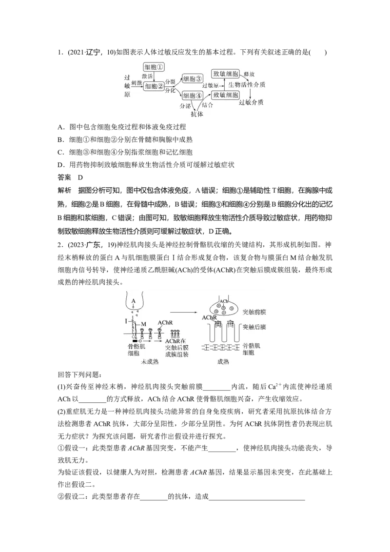 第八单元　第43课时　免疫失调及免疫学的应用_2025年新高考资料_一轮复习_2025大一轮复习讲义+课件（完结）_2025大一轮复习讲义生物教师用书Word版文档整书