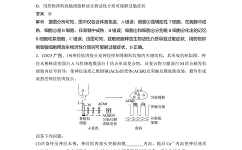 第八单元　第43课时　免疫失调及免疫学的应用_2025年新高考资料_一轮复习_2025大一轮复习讲义+课件（完结）_2025大一轮复习讲义生物教师用书Word版文档整书