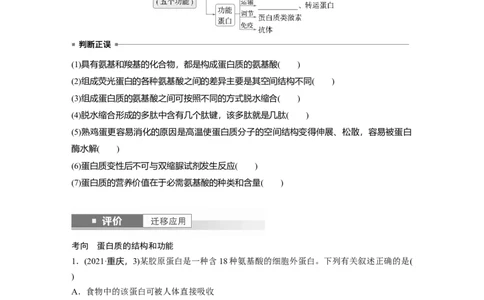 第一单元　第4课时　蛋白质是生命活动的主要承担者_2025年新高考资料_一轮复习_2025大一轮复习讲义+课件（完结）_2025大一轮复习讲义生物学生用书Word版文档整书_2025大一轮复习讲义