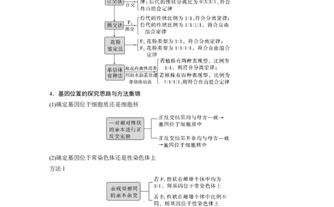 第一篇专题四考点二　遗传实验的设计与推理_通用版（老高考）复习资料_2023年复习资料_二轮复习_2023年高考生物二轮复习讲义+课件（全国版）_2023年高考生物二轮复习讲义（全国版）