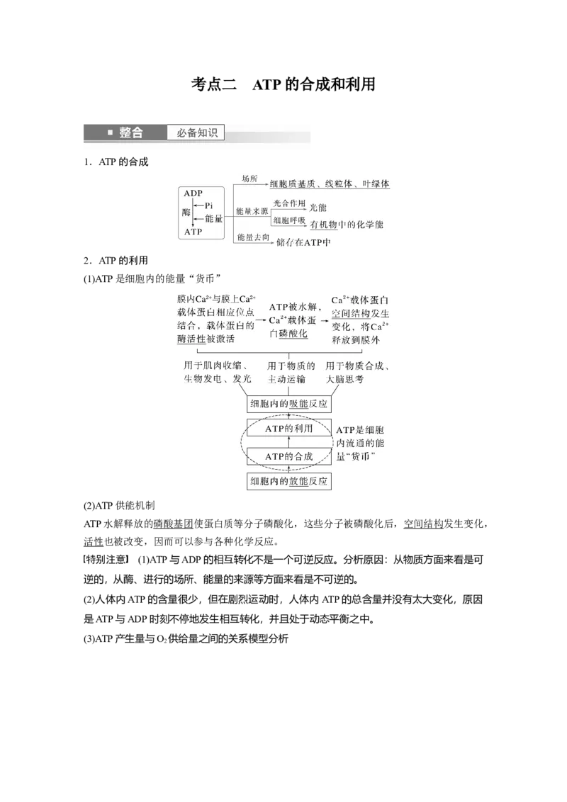 第三单元　第12课时　细胞的能量&ldquo;货币&rdquo;ATP_2025年新高考资料_一轮复习_2025大一轮复习讲义+课件（完结）_2025大一轮复习讲义生物教师用书Word版文档整书