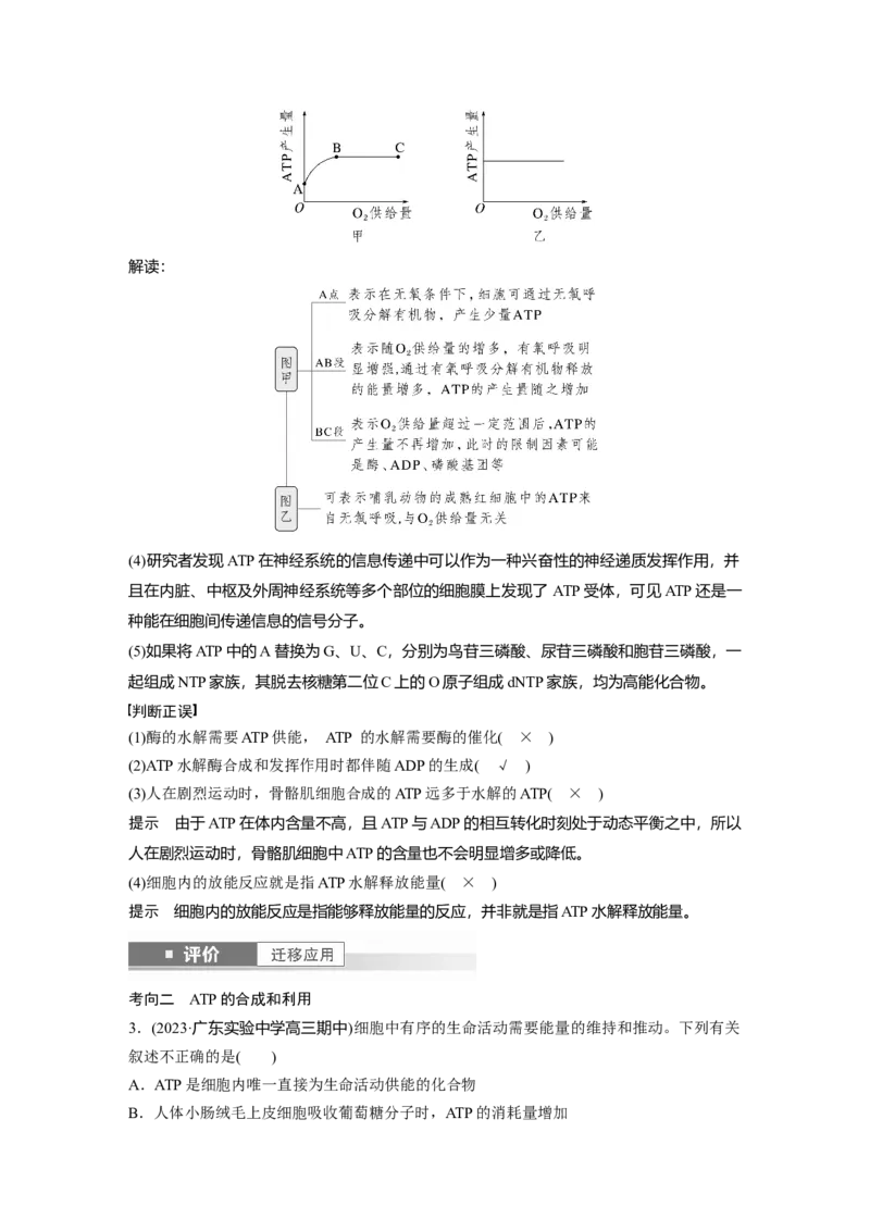 第三单元　第12课时　细胞的能量&ldquo;货币&rdquo;ATP_2025年新高考资料_一轮复习_2025大一轮复习讲义+课件（完结）_2025大一轮复习讲义生物教师用书Word版文档整书
