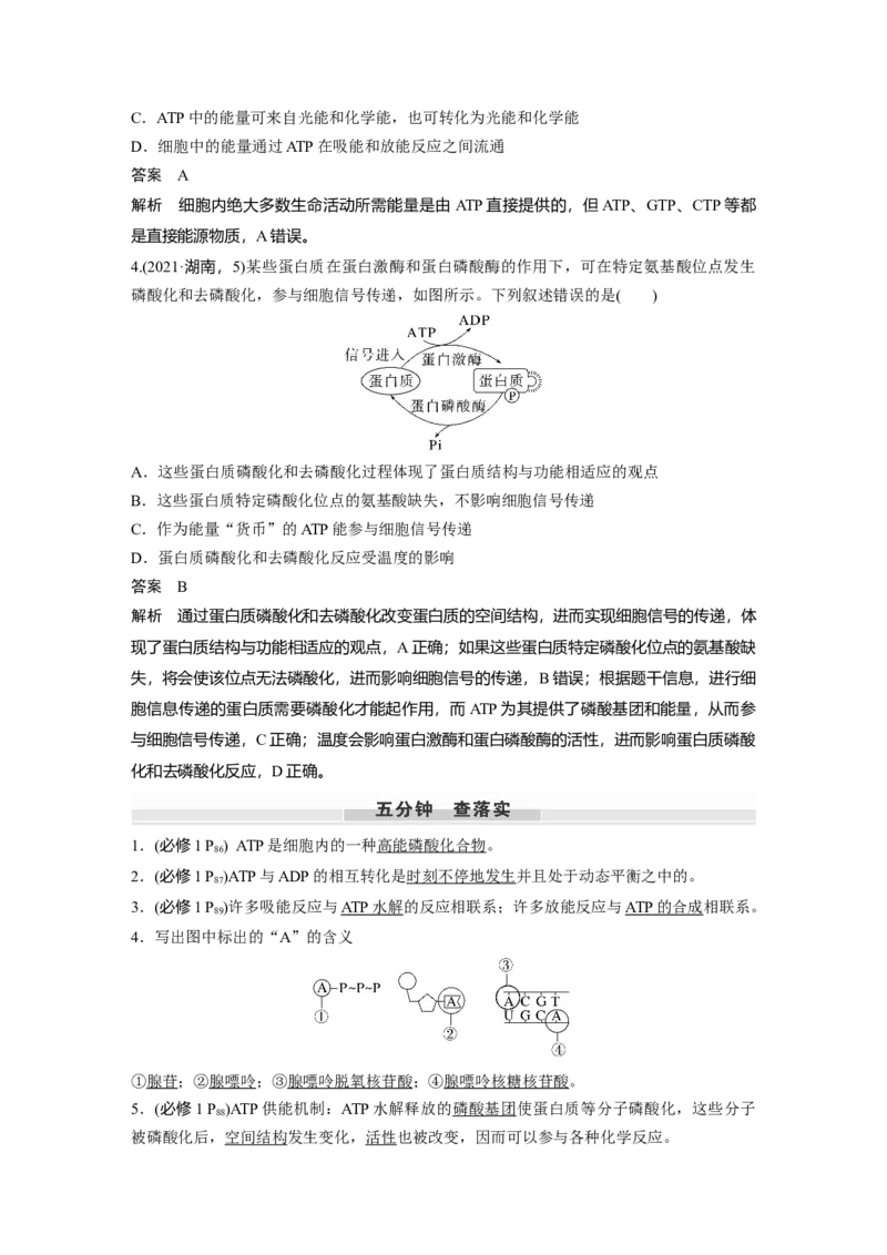 第三单元　第12课时　细胞的能量&ldquo;货币&rdquo;ATP_2025年新高考资料_一轮复习_2025大一轮复习讲义+课件（完结）_2025大一轮复习讲义生物教师用书Word版文档整书