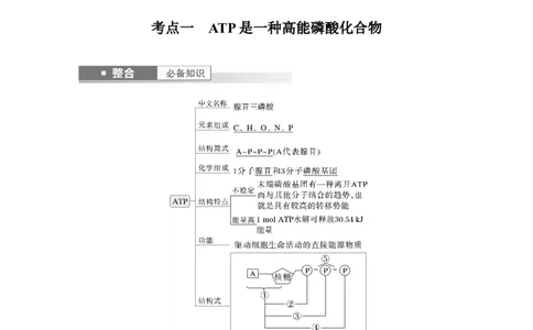 第三单元　第12课时　细胞的能量&ldquo;货币&rdquo;ATP_2025年新高考资料_一轮复习_2025大一轮复习讲义+课件（完结）_2025大一轮复习讲义生物教师用书Word版文档整书