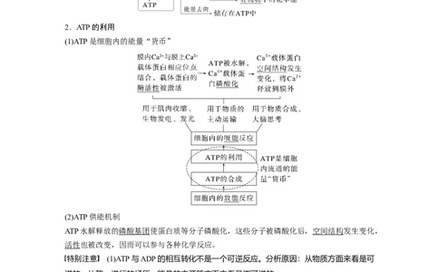 第三单元　第12课时　细胞的能量&ldquo;货币&rdquo;ATP_2025年新高考资料_一轮复习_2025大一轮复习讲义+课件（完结）_2025大一轮复习讲义生物教师用书Word版文档整书
