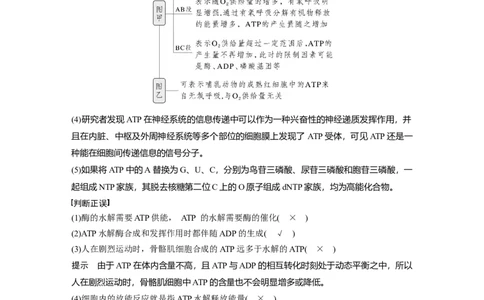第三单元　第12课时　细胞的能量&ldquo;货币&rdquo;ATP_2025年新高考资料_一轮复习_2025大一轮复习讲义+课件（完结）_2025大一轮复习讲义生物教师用书Word版文档整书