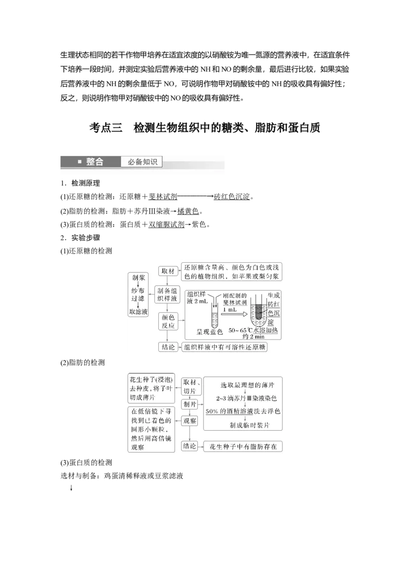 第一单元　第2课时　组成细胞的元素和化合物_2025年新高考资料_一轮复习_2025大一轮复习讲义+课件（完结）_2025大一轮复习讲义生物教师用书Word版文档整书