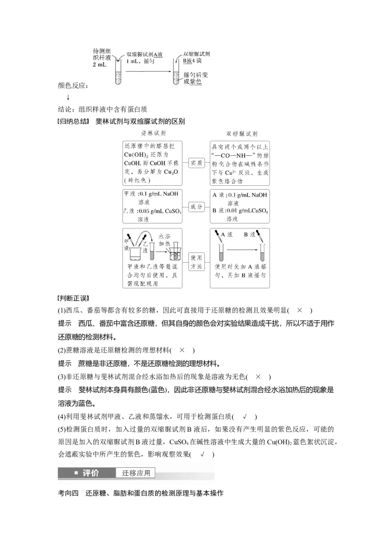 第一单元　第2课时　组成细胞的元素和化合物_2025年新高考资料_一轮复习_2025大一轮复习讲义+课件（完结）_2025大一轮复习讲义生物教师用书Word版文档整书