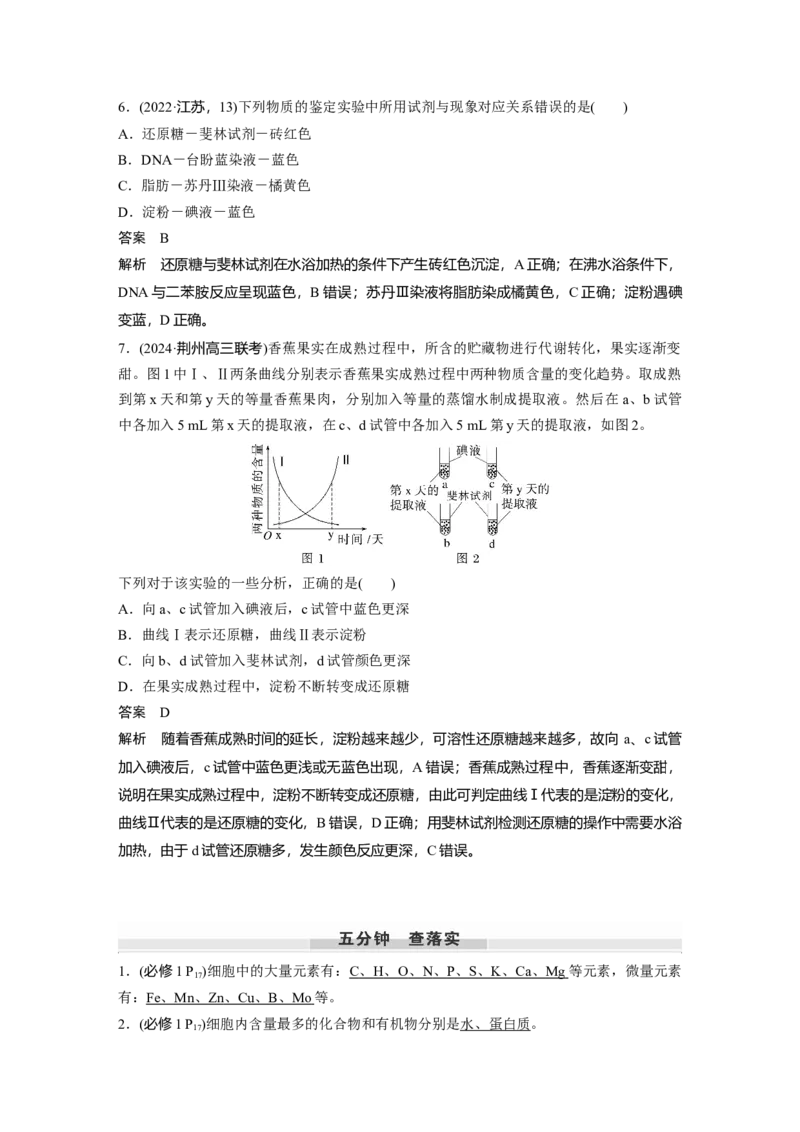 第一单元　第2课时　组成细胞的元素和化合物_2025年新高考资料_一轮复习_2025大一轮复习讲义+课件（完结）_2025大一轮复习讲义生物教师用书Word版文档整书