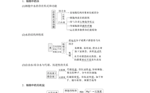 第一单元　第2课时　组成细胞的元素和化合物_2025年新高考资料_一轮复习_2025大一轮复习讲义+课件（完结）_2025大一轮复习讲义生物教师用书Word版文档整书