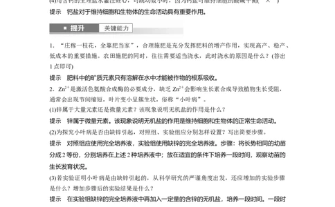 第一单元　第2课时　组成细胞的元素和化合物_2025年新高考资料_一轮复习_2025大一轮复习讲义+课件（完结）_2025大一轮复习讲义生物教师用书Word版文档整书