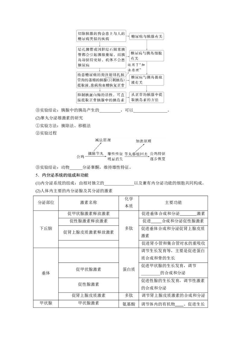 第八单元　第40课时　激素与内分泌调节及激素调节的过程_2025年新高考资料_一轮复习_2025大一轮复习讲义+课件（完结）_2025大一轮复习讲义生物学生用书Word版文档整书