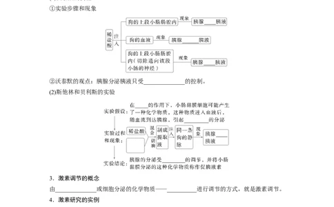 第八单元　第40课时　激素与内分泌调节及激素调节的过程_2025年新高考资料_一轮复习_2025大一轮复习讲义+课件（完结）_2025大一轮复习讲义生物学生用书Word版文档整书