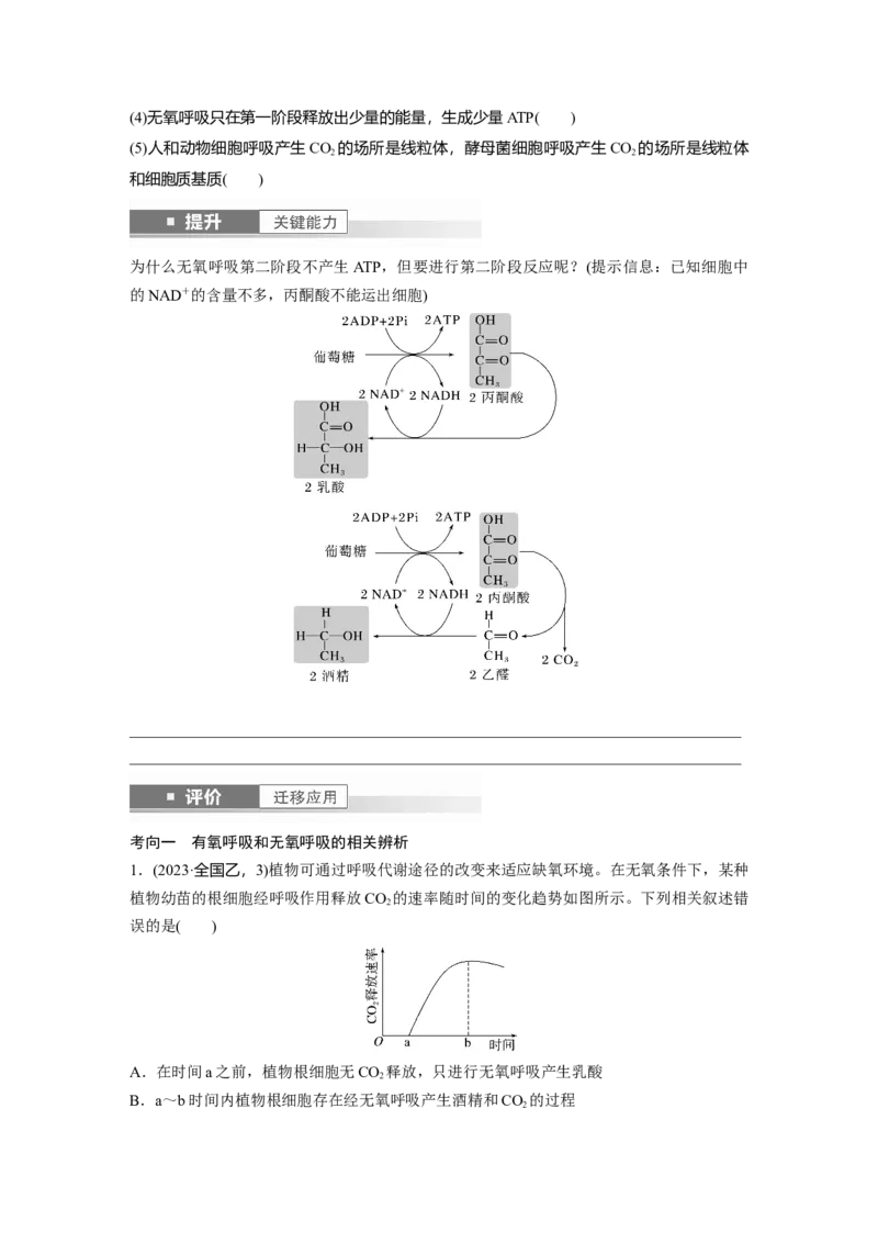 第三单元　第14课时　无氧呼吸、细胞呼吸的影响因素及其应用_新高考复习资料_2025年新高考资料_2025新高考一轮复习生物_2025大一轮复习讲义生物人教版学生用书Word版文档整书