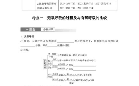 第三单元　第14课时　无氧呼吸、细胞呼吸的影响因素及其应用_新高考复习资料_2025年新高考资料_2025新高考一轮复习生物_2025大一轮复习讲义生物人教版学生用书Word版文档整书